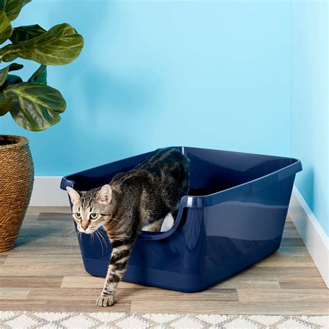 high sided litter box for large cats